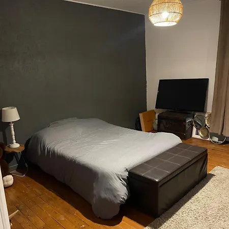 Maison De Avec Jardin Vila Le Mans