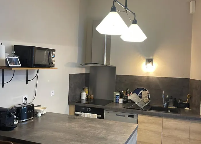 Maison De Avec Jardin Villa Le Mans